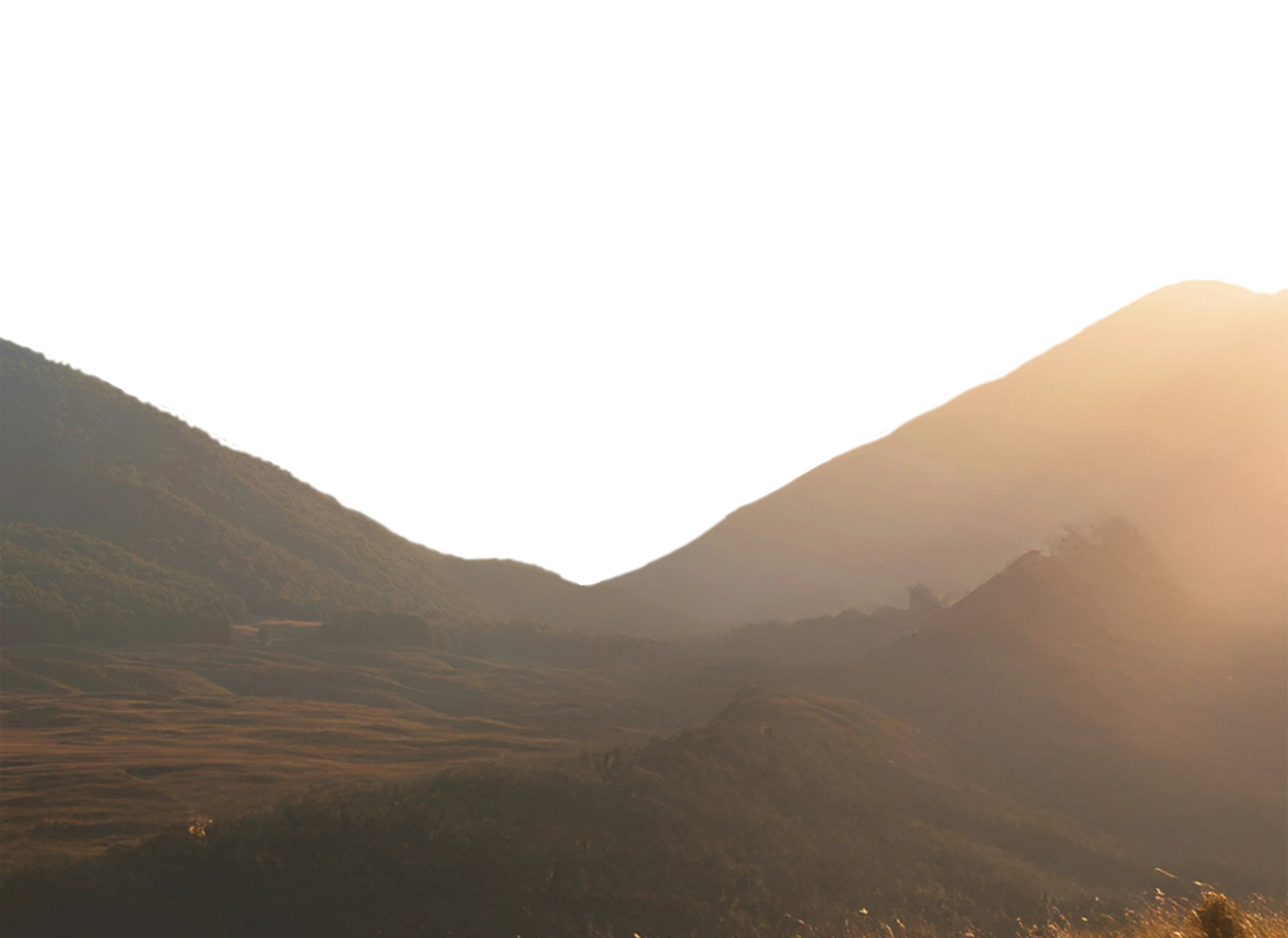 Science Vitamins, suplementos extraordinarios